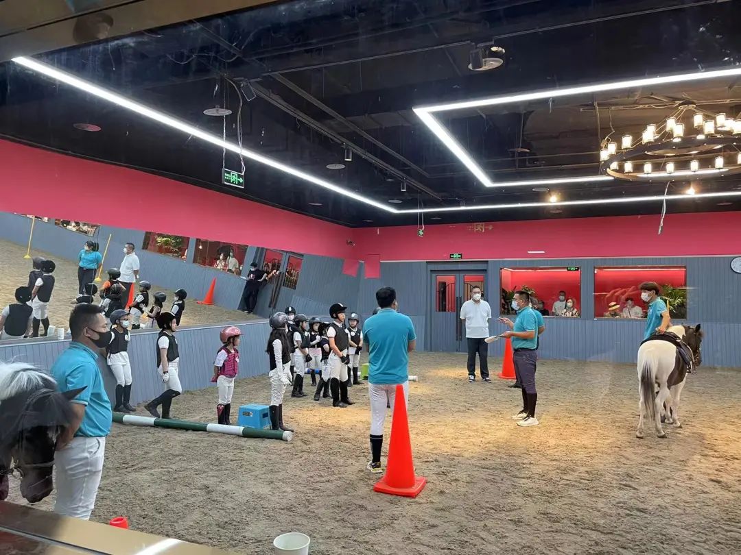 快乐小马马术俱乐部,北京朝阳公园马术俱乐部快乐小马