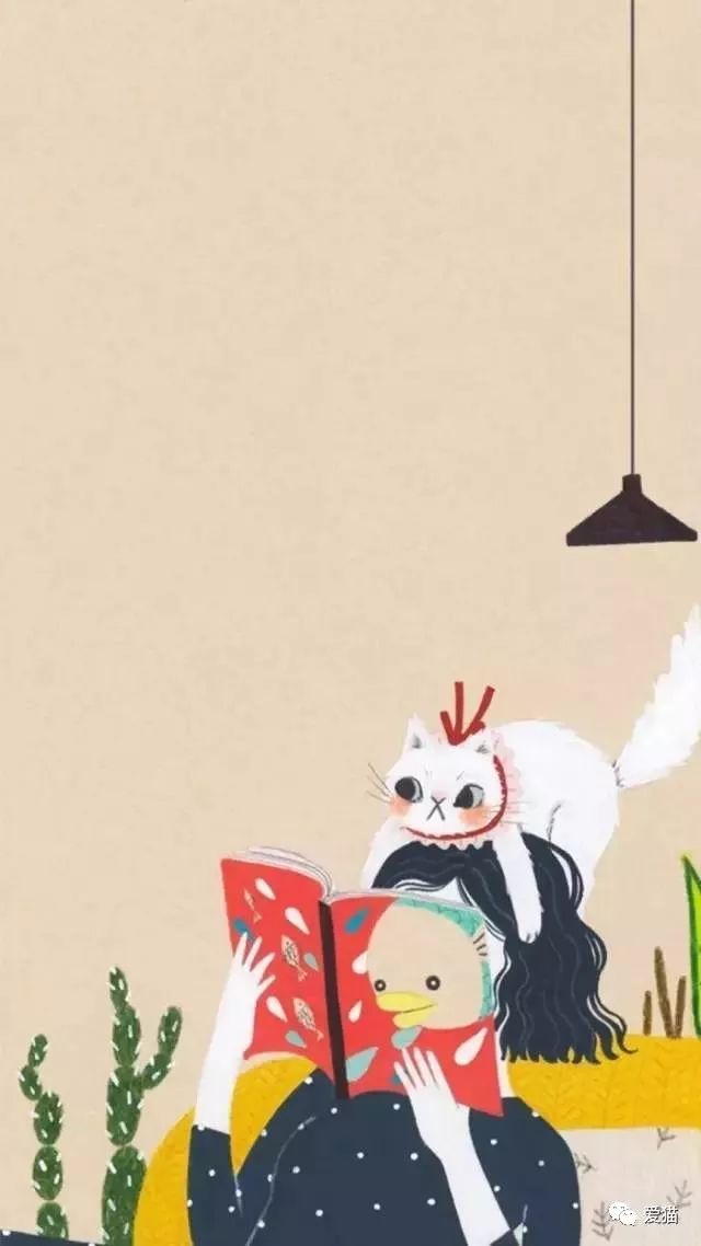 我在网店买三文鱼喂猫，结果被人网暴追骂两年，还造黄谣！