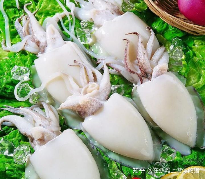 大话舟山海鲜系列（三）—大话墨鱼（喷墨家族成员之一）