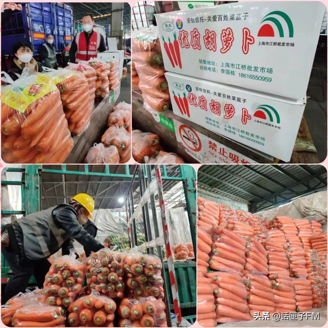 上海急招蔬菜配送司机,上海市招配送司机靠谱嘛