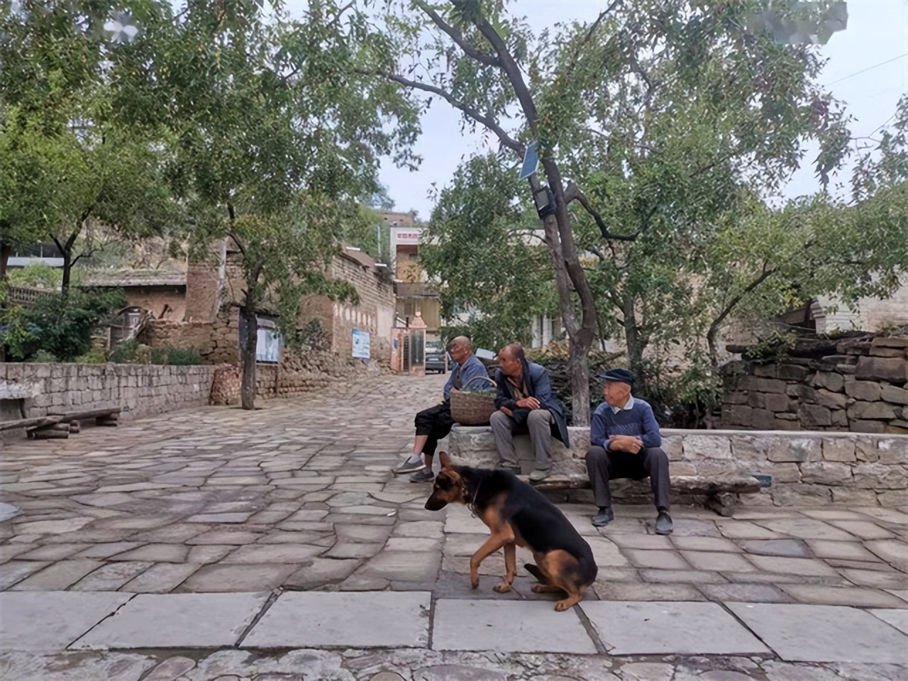 人老了还有消费欲望吗,人老了有求生欲望吗