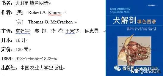 犬解剖图手绘,犬解剖生理3d图