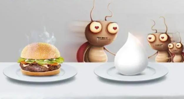 自制消灭蟑螂蚂蚁蚊子的小妙招,生活小妙招香蕉皮消灭蟑螂视频