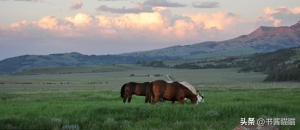 默多克死后两个女儿有财产吗,默多克第二任妻子离婚财产分割
