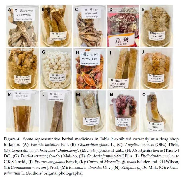 中药概念涨停潮,涨停医药股有哪几个