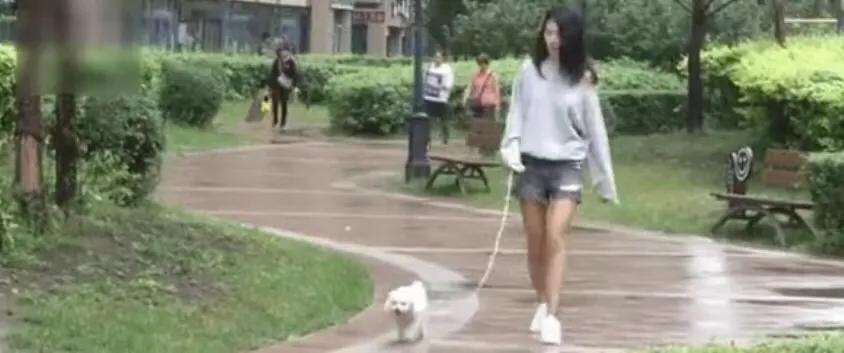 狗狗随处撒尿狗主人罚站,狗狗在汽车轮胎上小便