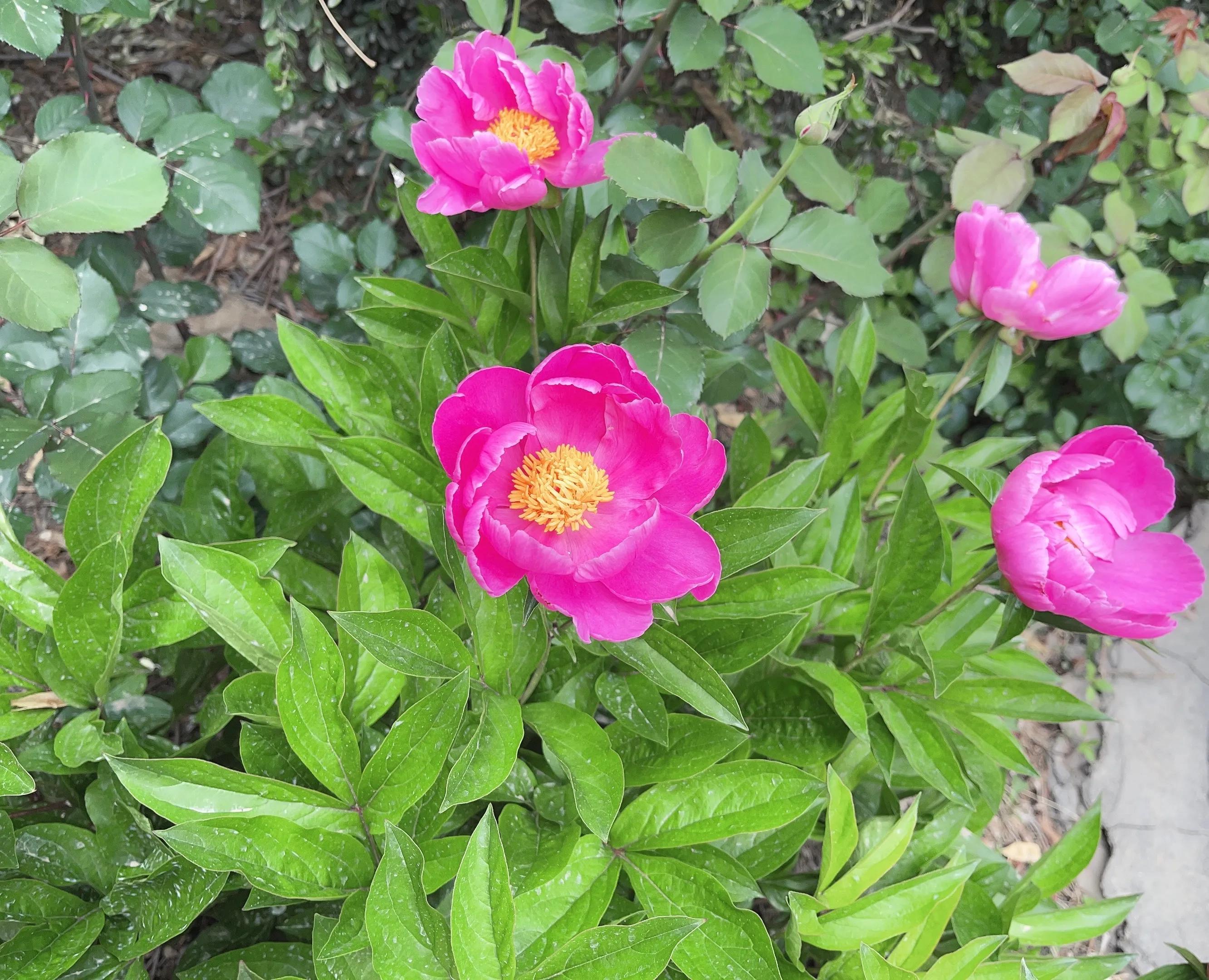 繁星璀璨银河系星星眨眼不言语天上故事比星多日升月落都放空元姆