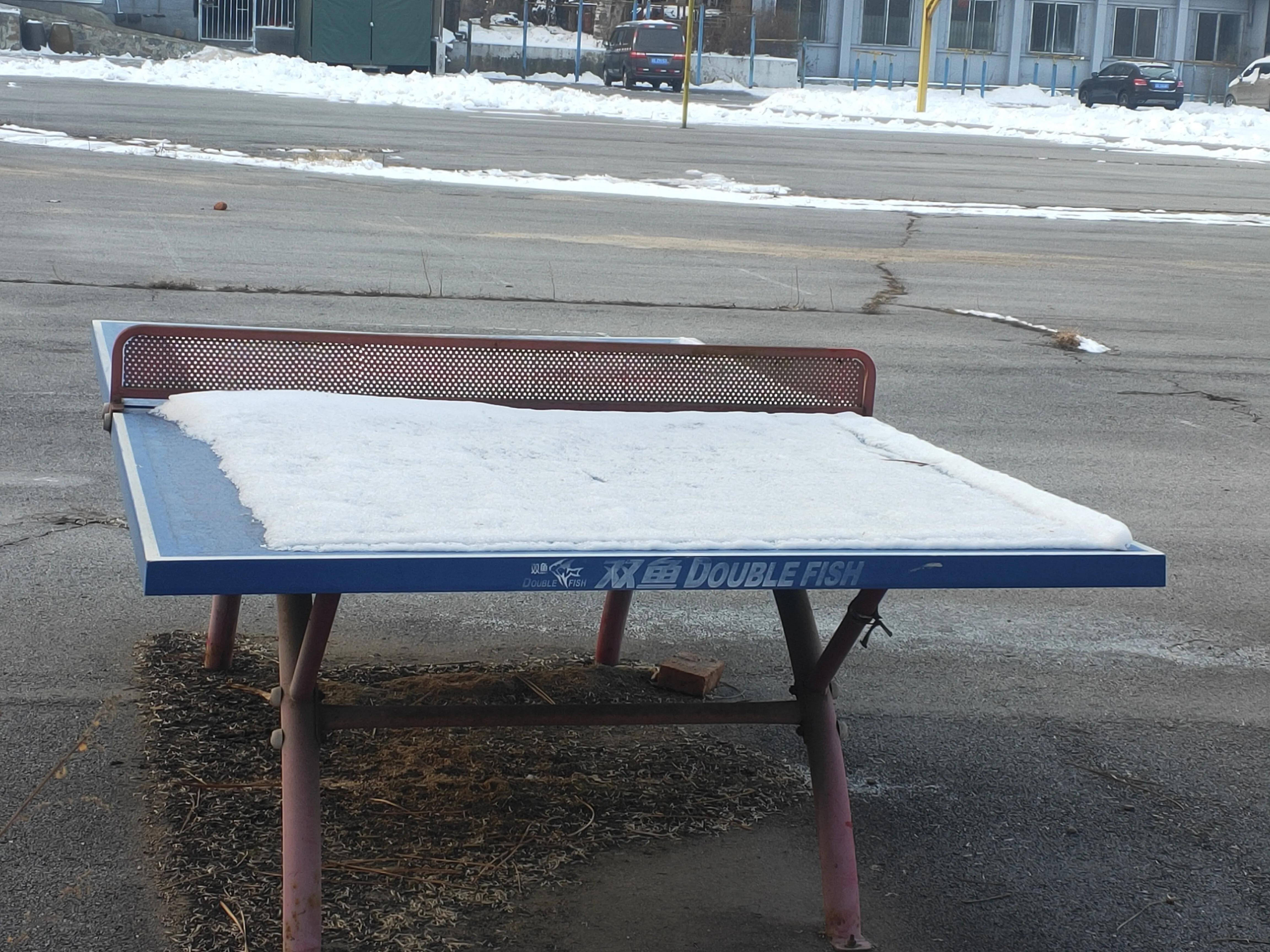 热身服乒乓球,蝴蝶乒乓球衣