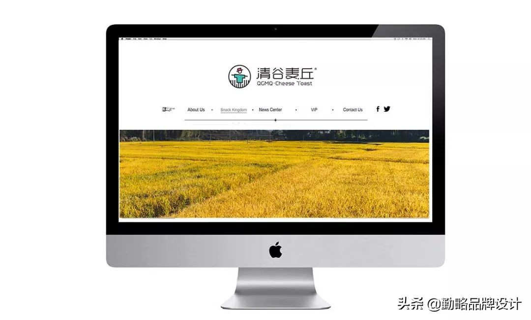 豫粮集团|清谷麦丘岩烧乳酪品牌包装设计