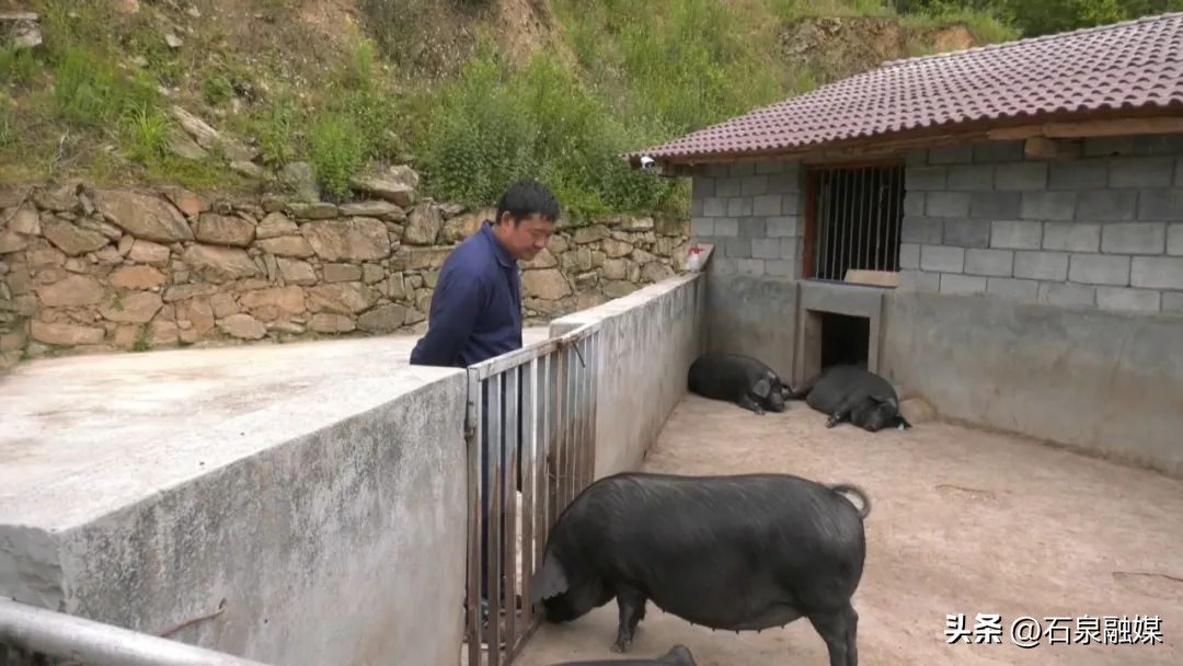 石泉县池河镇建设情况,石泉县池河镇项目
