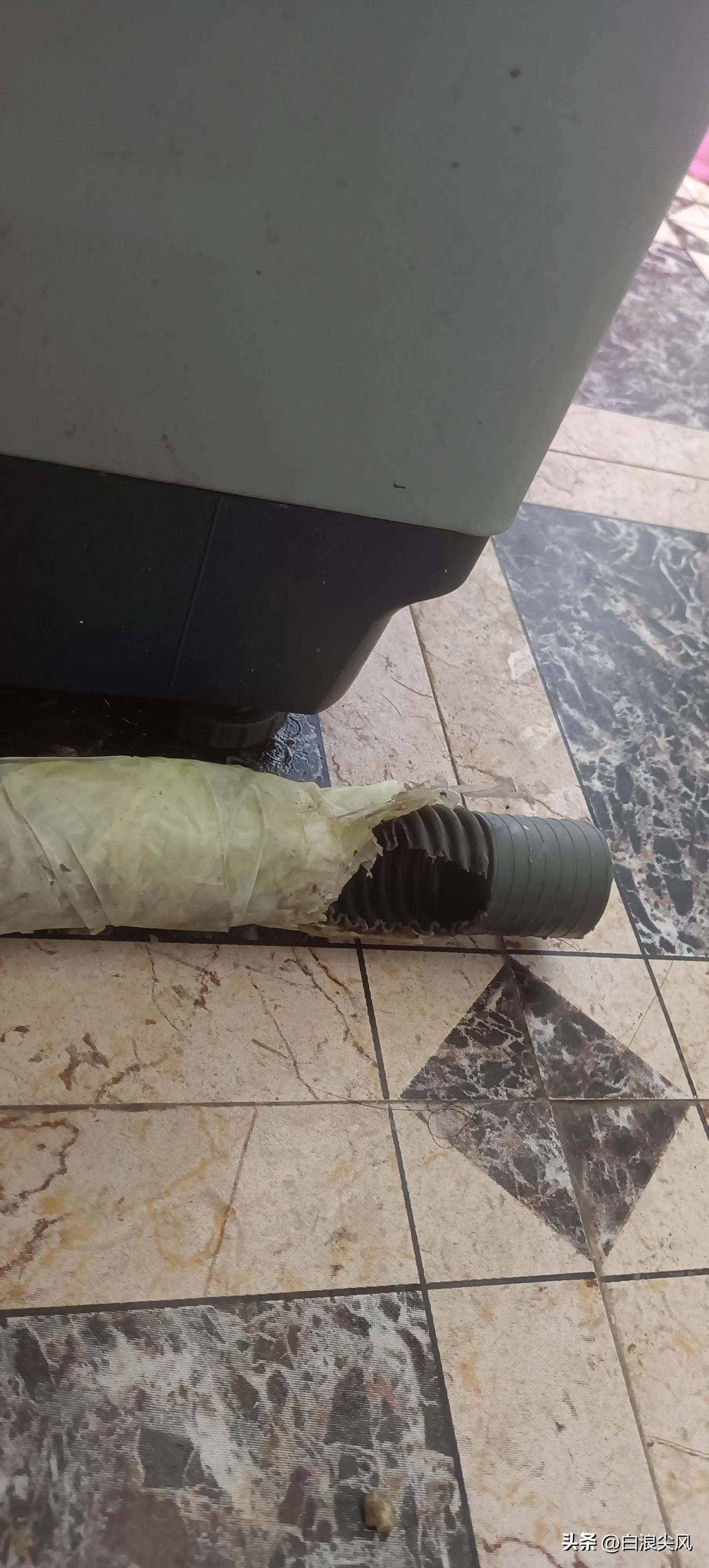 租房东西被老鼠咬了责任算谁的,在宾馆被老鼠咬了赔偿什么费用