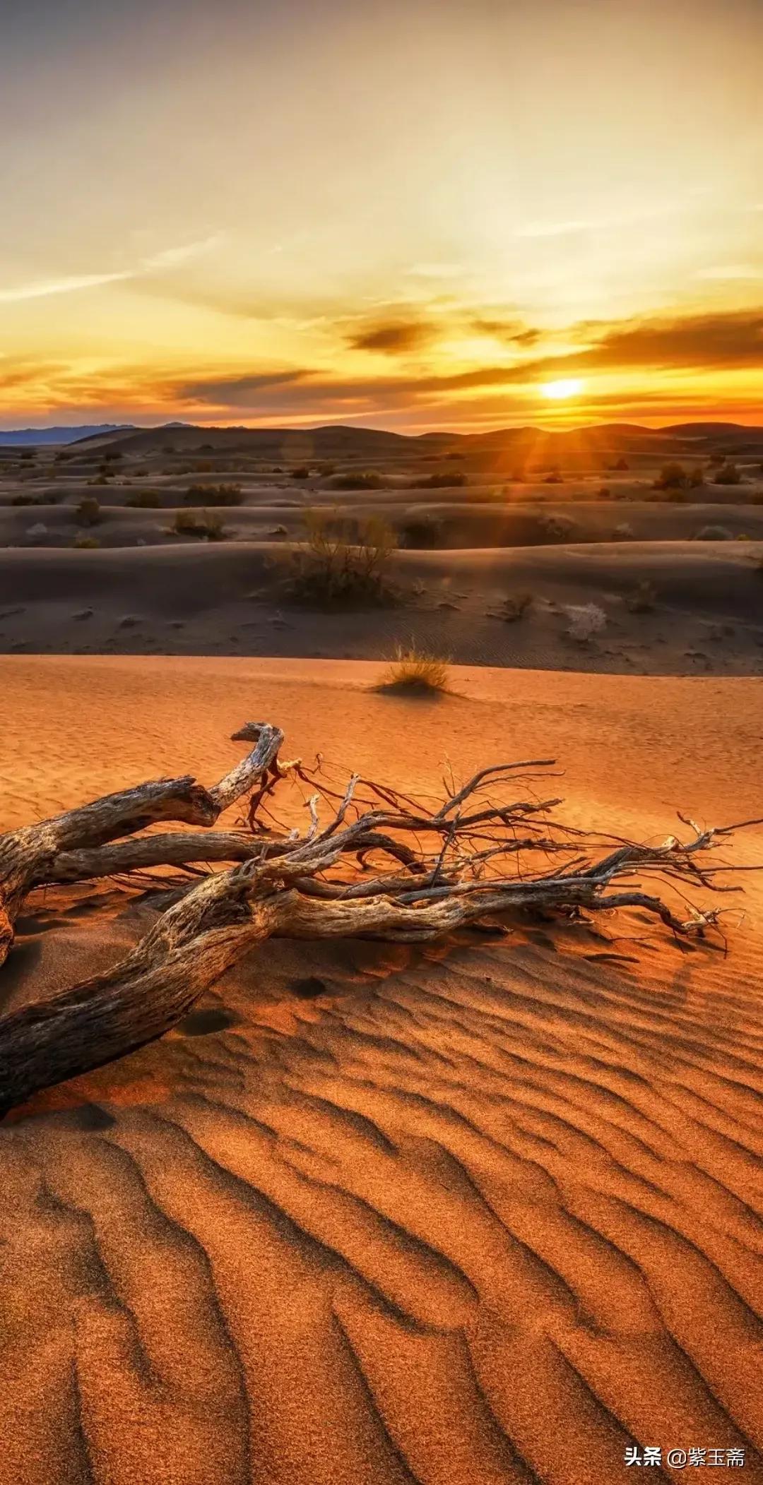 大学教材书籍在哪里可以看到,大学教材有必要买正版吗