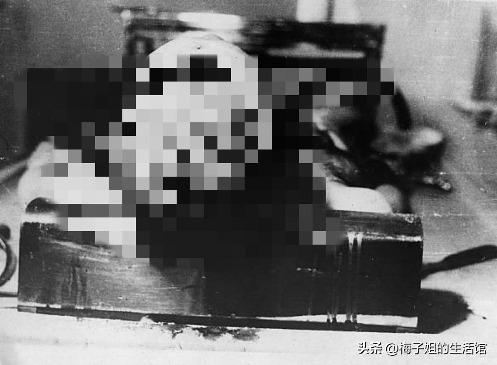 德国纳粹集中营真实影像,纳粹集中营杀了多少人