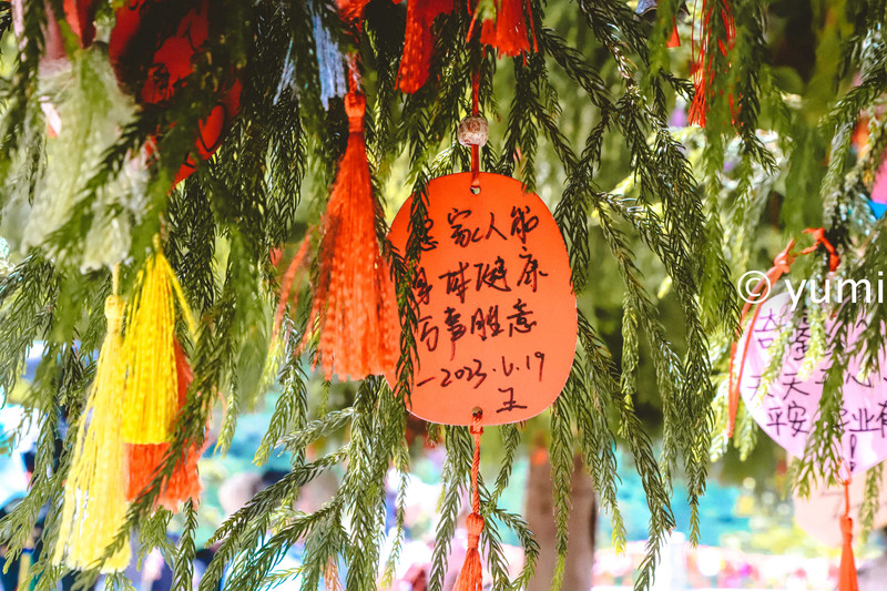 武功山的云中草原,武功山旅游攻略雪景
