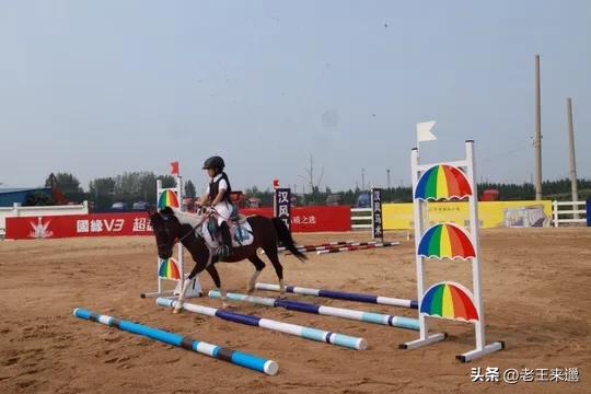 马术比赛最新消息,徐州市第二届青少年马术公开赛