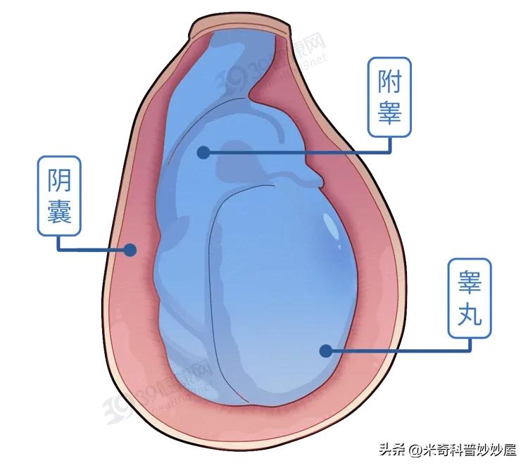 体力劳动能增强体质吗,体力劳动能提高身体素质吗
