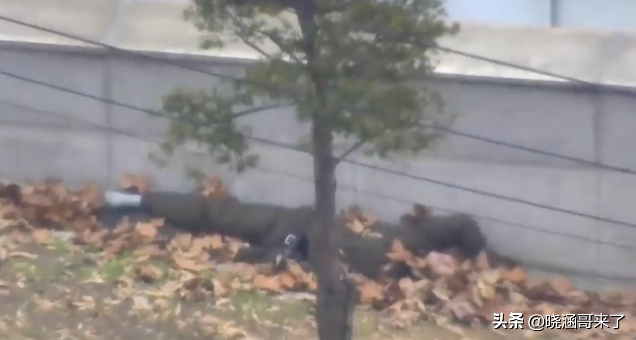 朝鲜“脱北者”是如何穿越朝韩边境的？