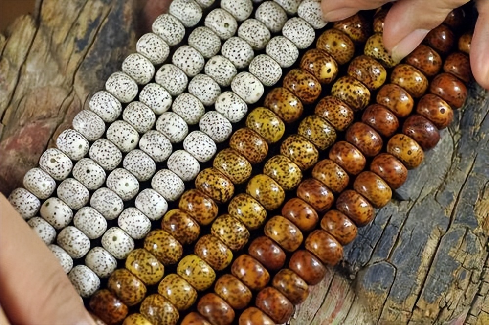 星月盘玩的几大误区,假星月菩提盘玩是什么样的