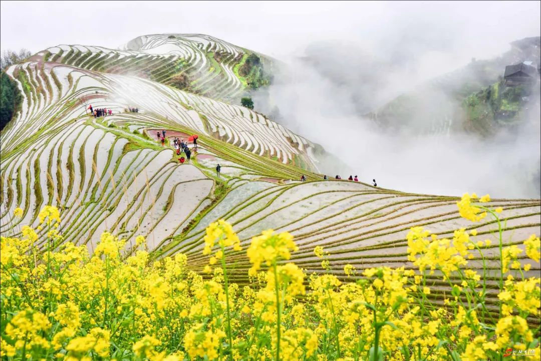 5月底桂林梯田摄影,桂林阳朔山水风光摄影团攻略