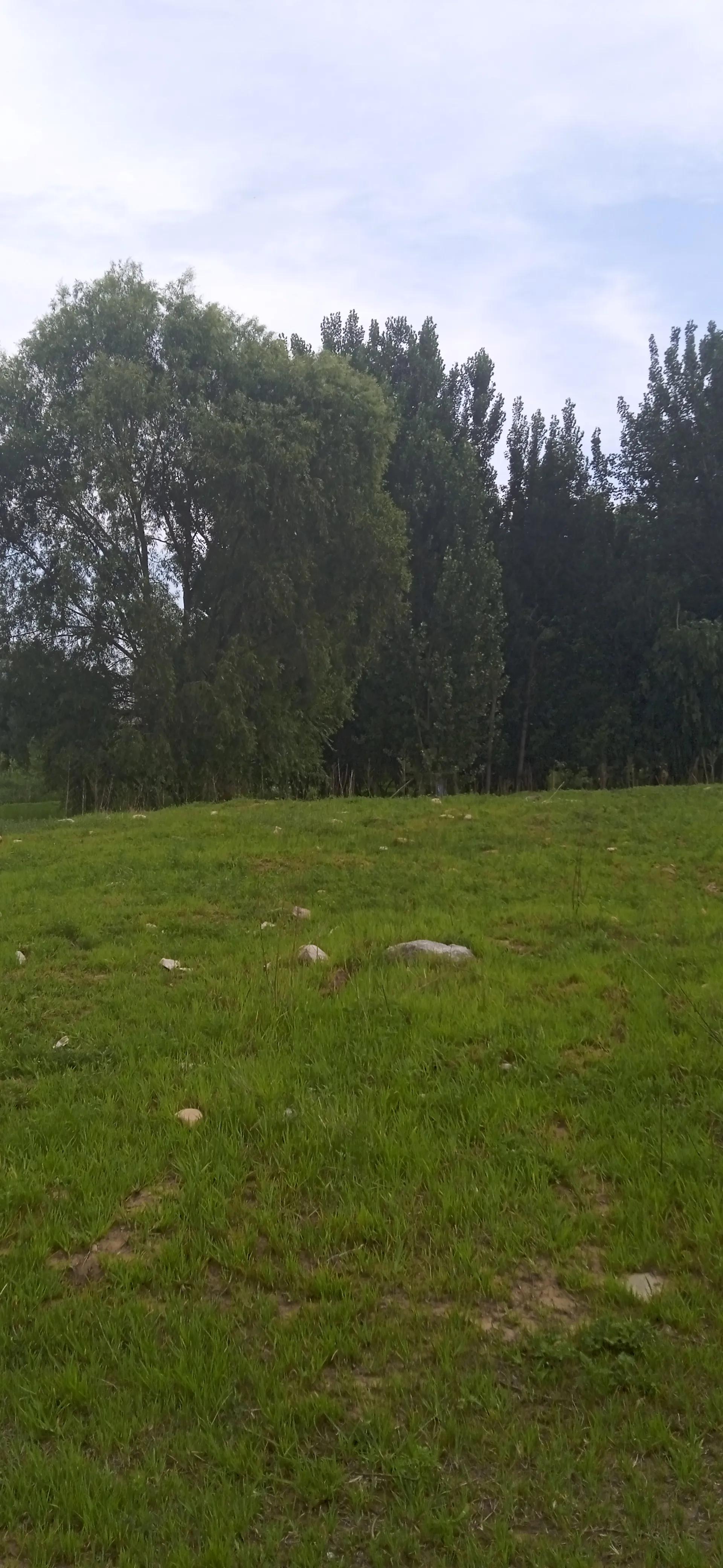 打螺丝工厂也分派系之争。我是如何选择的