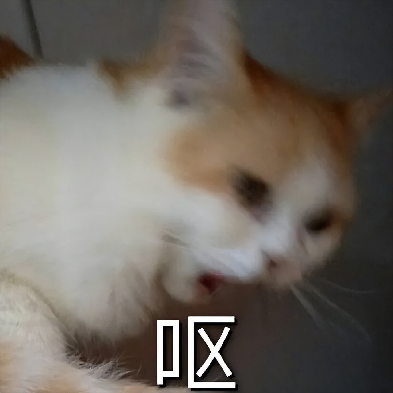 自闭的苹果AppStore，即将成为过去