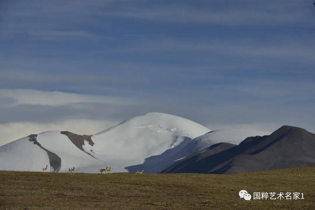 潍坊学院董俊青,国粹艺术名家董德元