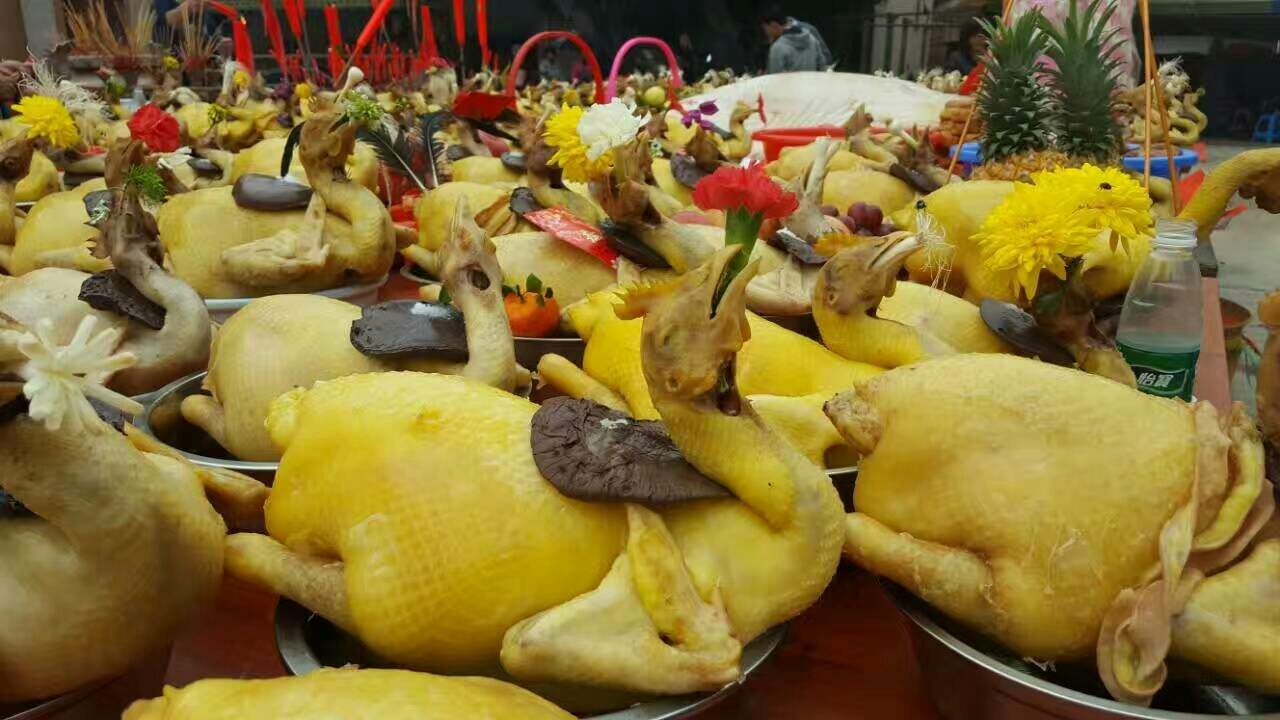 怎么克服杀家禽的恐惧,怎样杀鸡才能减少鸡的痛苦