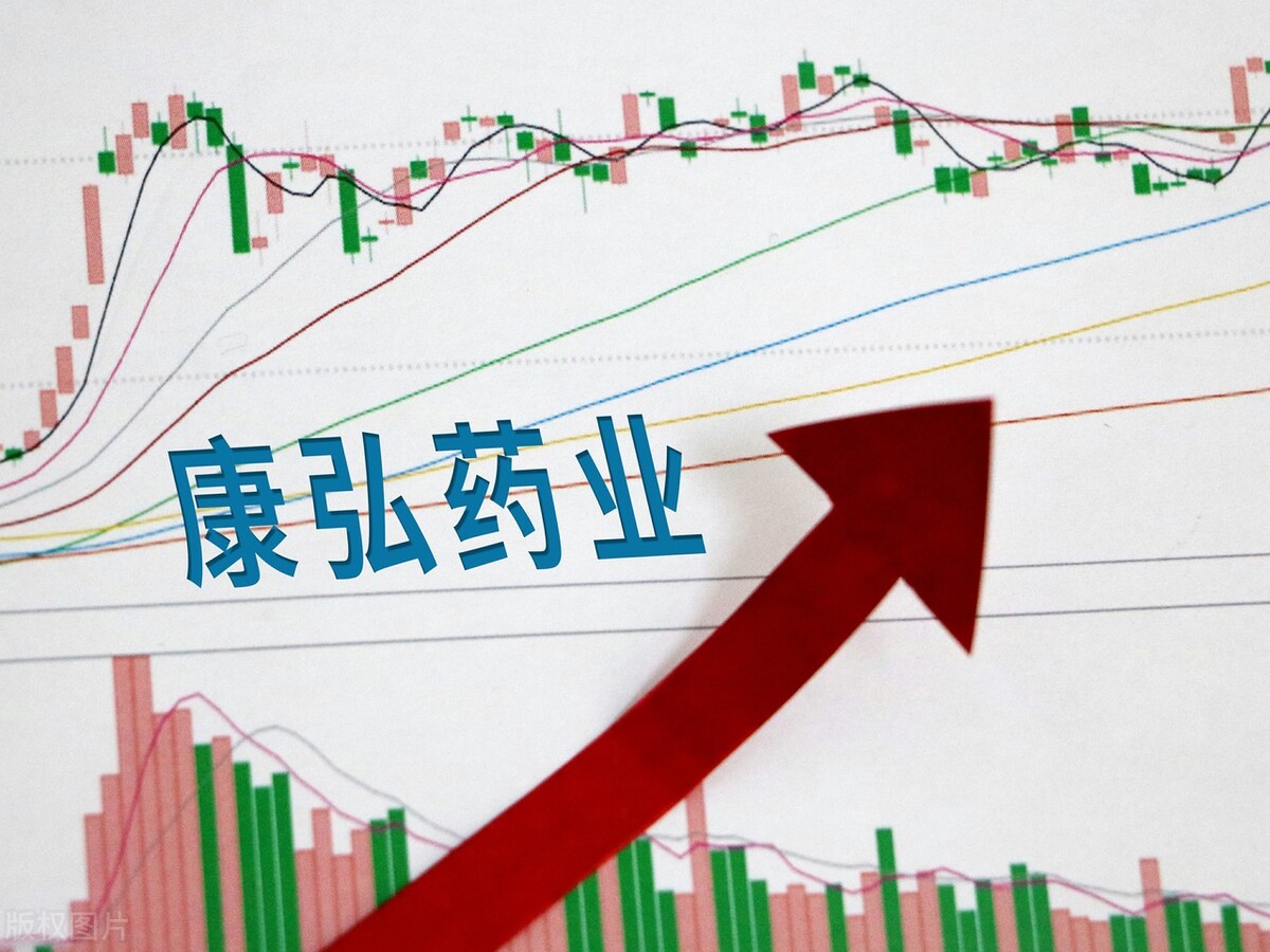 深投股上市公告,深市上市公司公告