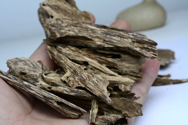 沉香手串保养的6种方法视频讲解,沉香到底需不需要盘串