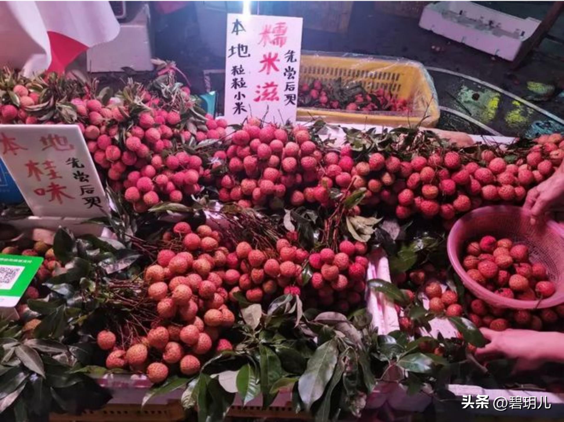 收购广西妃子笑现场,正宗广西妃子笑多少钱一斤