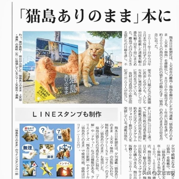 全世界猫最多的猫岛,为什么猫岛上面要有这么多猫