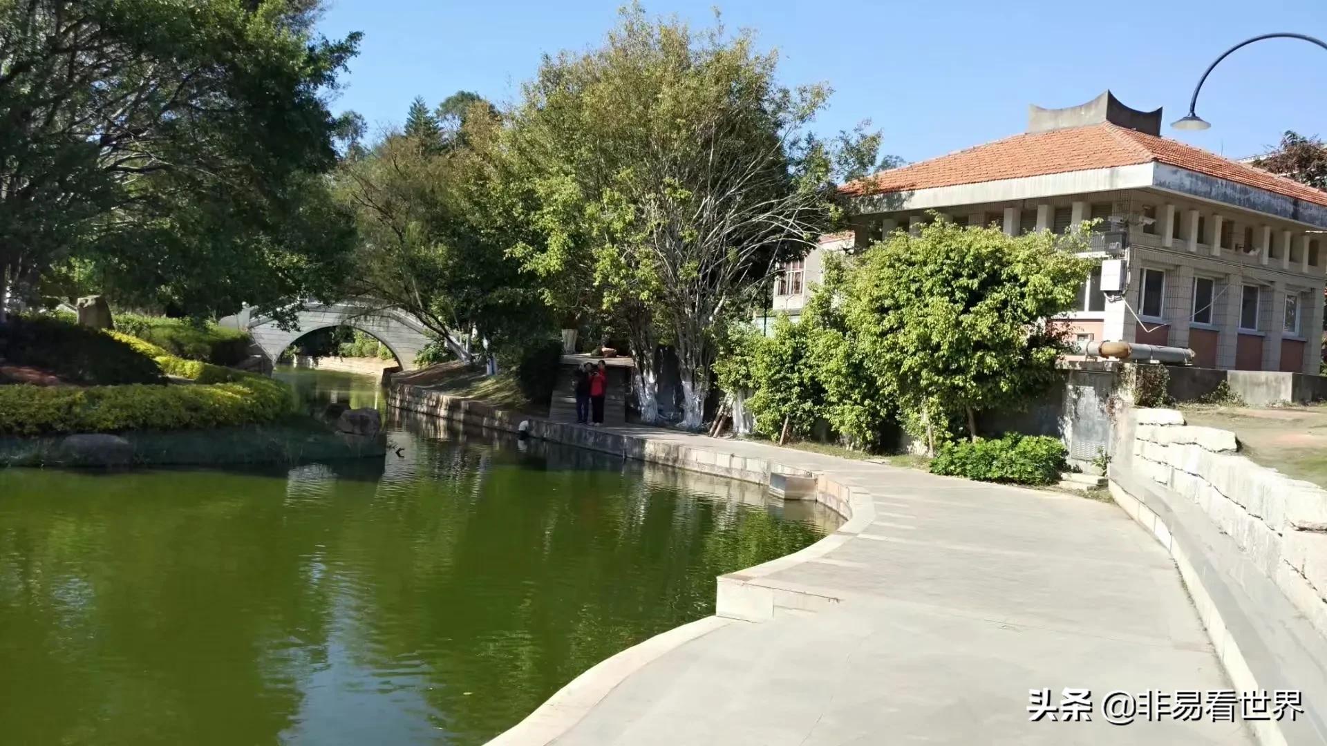 回忆一下我在厦门的生活,厦门是个慢生活的都市