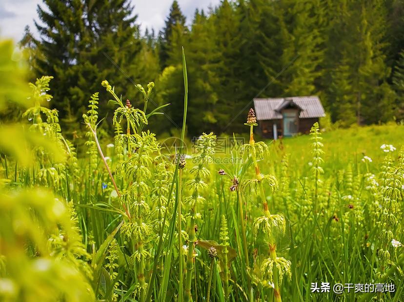 散文｜李沛新：瘦父如山