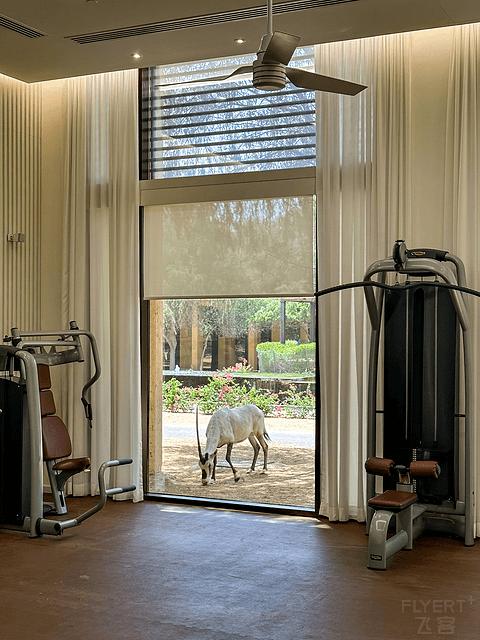 哈伊马角利兹卡尔顿,哈伊马角沙漠丽思卡尔顿酒店