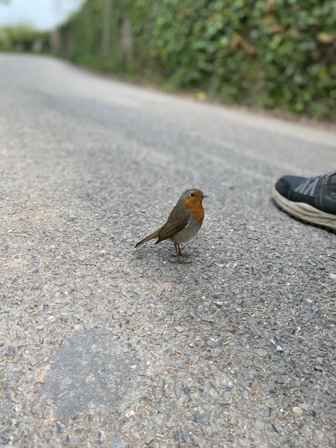 英国和香港硕士选哪个,香港硕士和英国硕士对比