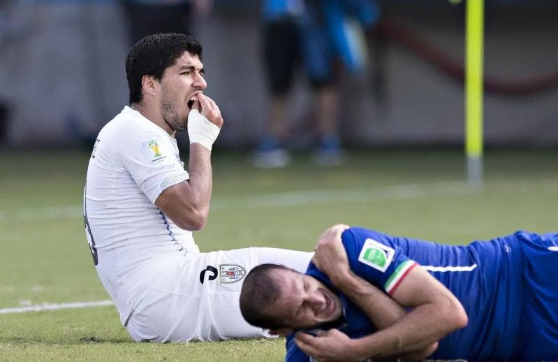 老鹰和狮子谁会赢,老鹰和狮子战斗视频