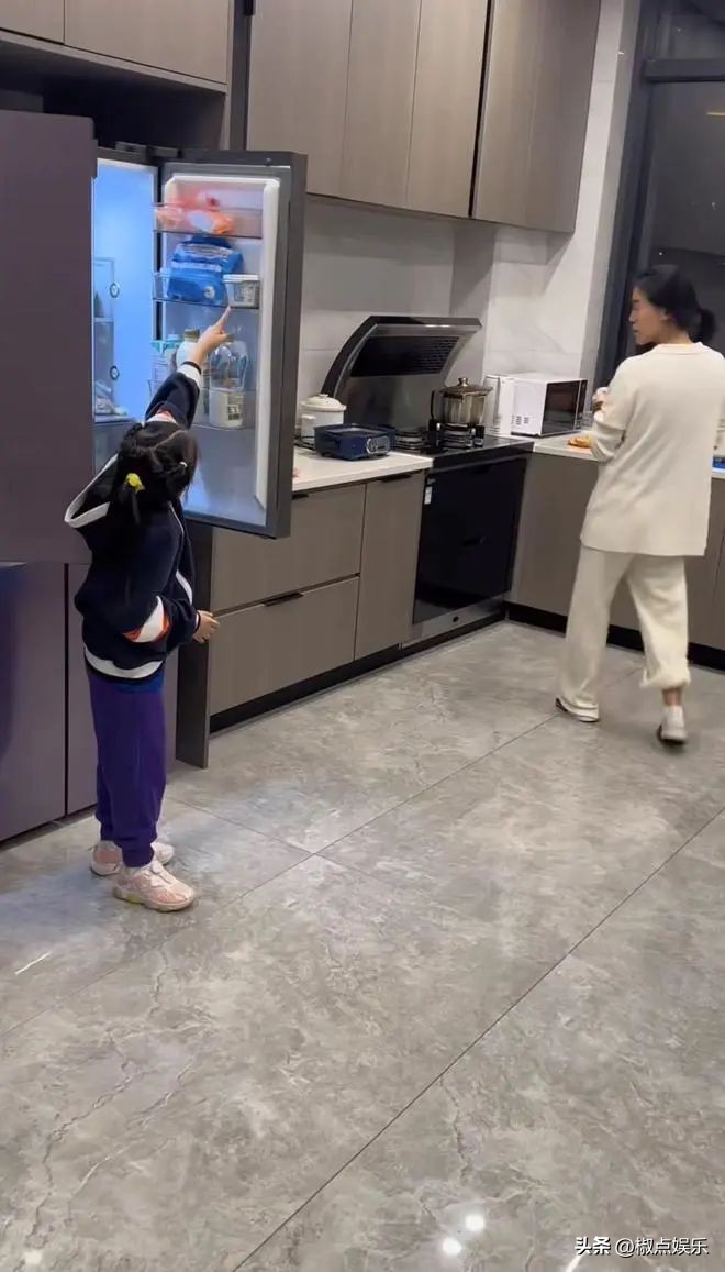 王楠全家在海南豪宅过冬,王楠豪宅照片大全