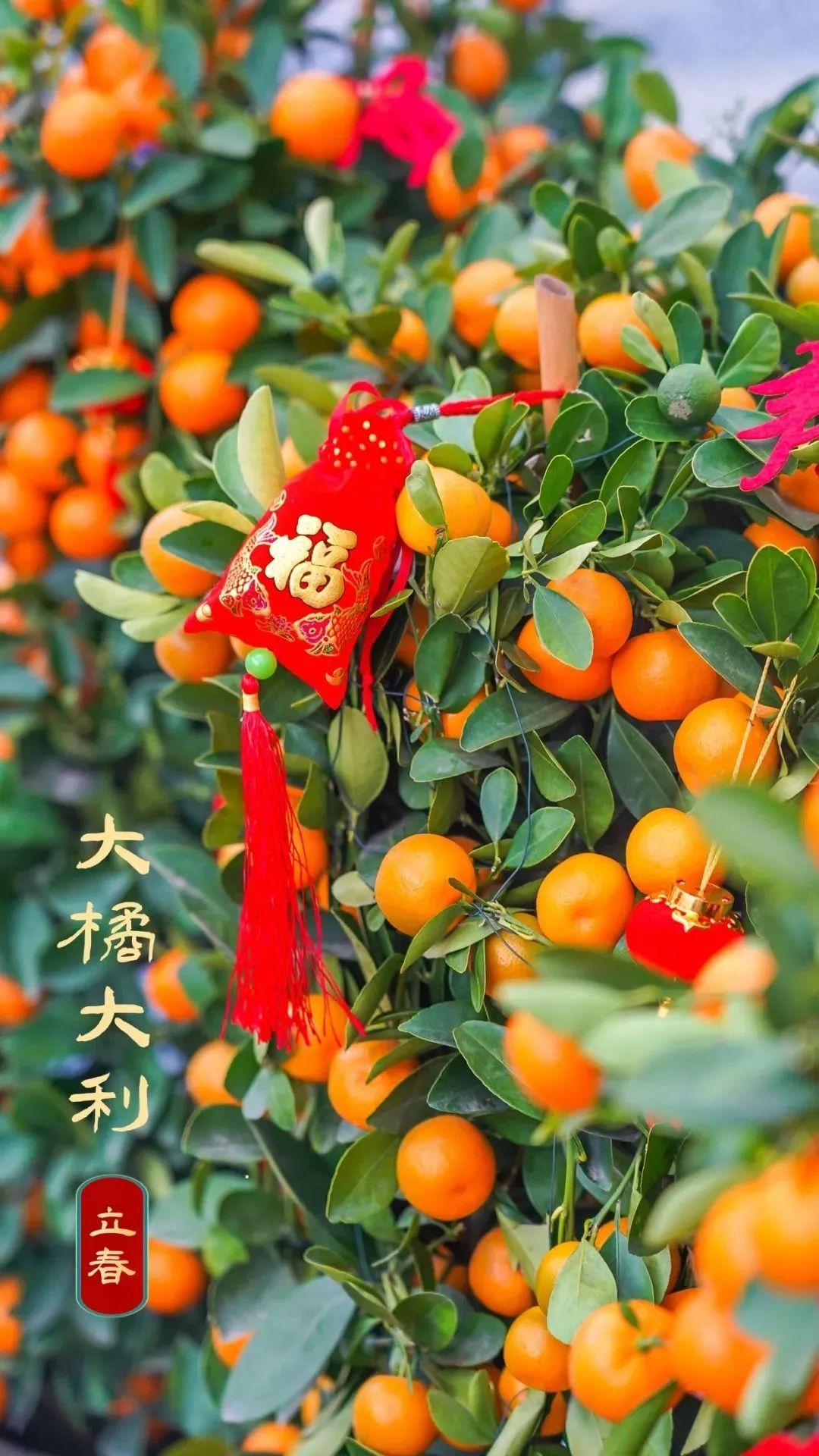 武汉春节惠民活动,武汉人的福利