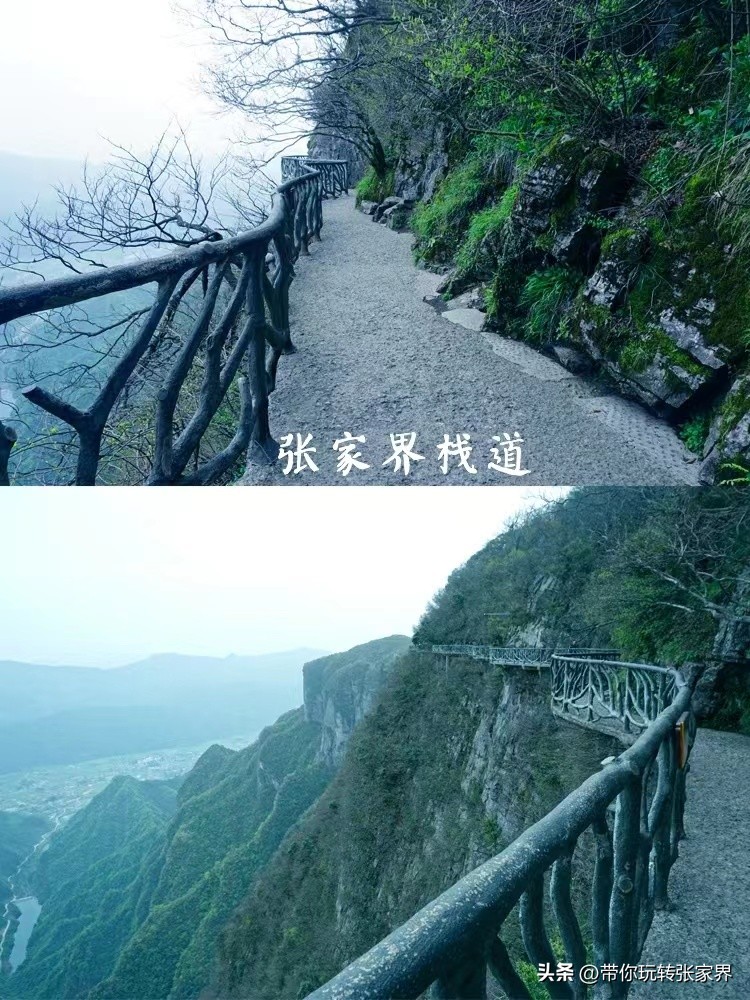 凤凰古城张家界亲子游自助攻略,张家界凤凰古城六日自由游攻略