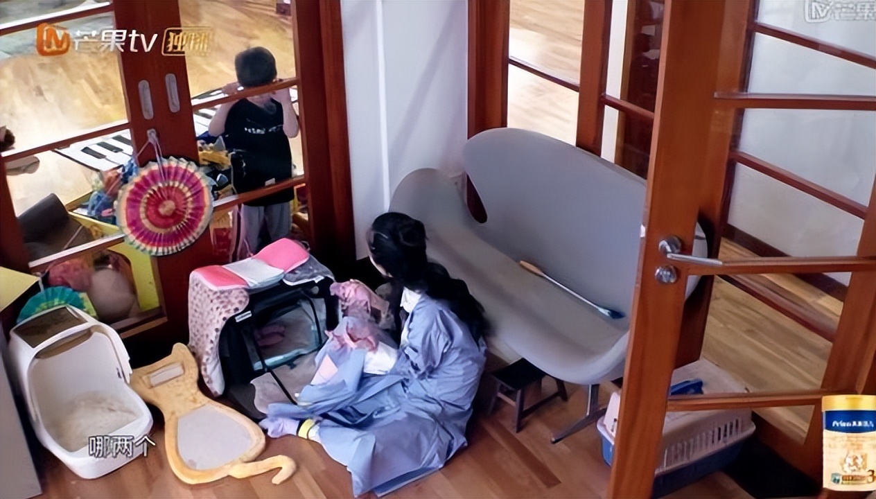 霍思燕豪门捞金,霍思燕富婆