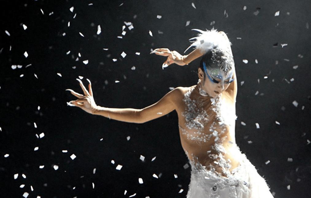 杨丽萍的四大不解之谜,杨丽萍十大不解之谜