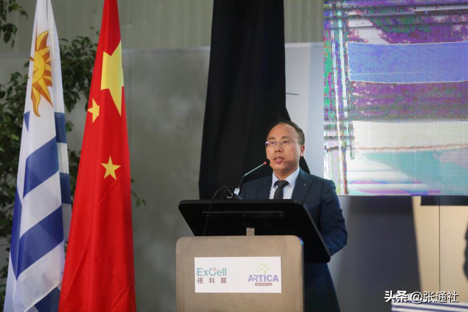 乌拉圭工厂,南美洲新建工厂