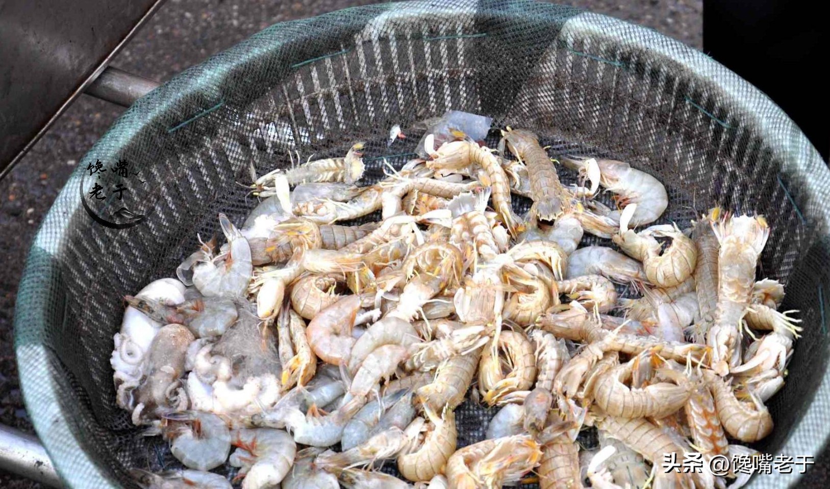 在市场上买皮皮虾怎么看才是新鲜,皮皮虾怎么吃老渔民悄悄告诉你