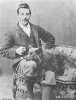 微笑天使萨摩耶犬图,萨摩耶犬是狗狗界的微笑天使