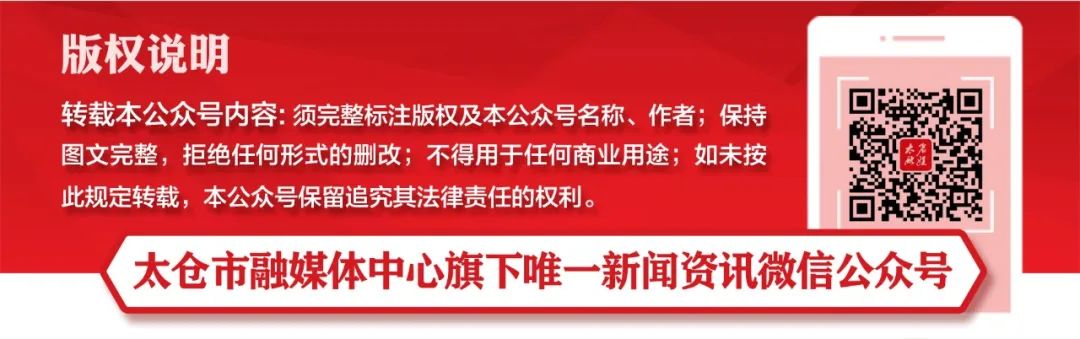 太仓蓝色花海,太仓好看的花海