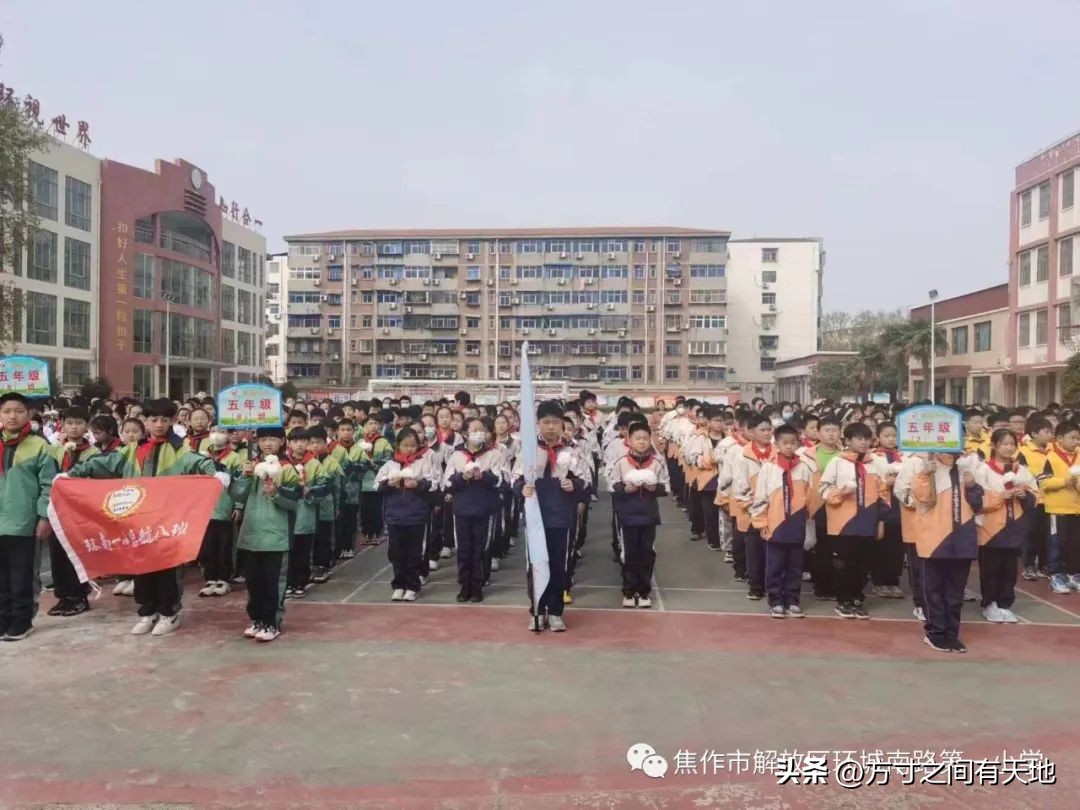 我们的节日清明主题活动情况汇报,我们的节日清明节活动开展情况