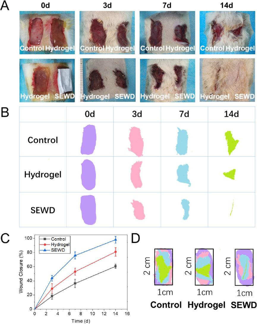 水凝胶敷料适合什么伤口,水凝胶敷料产品详细信息
