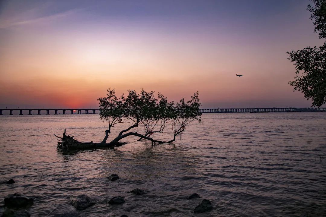 深圳宝安区两日游,深圳宝安区一日游推荐自由行