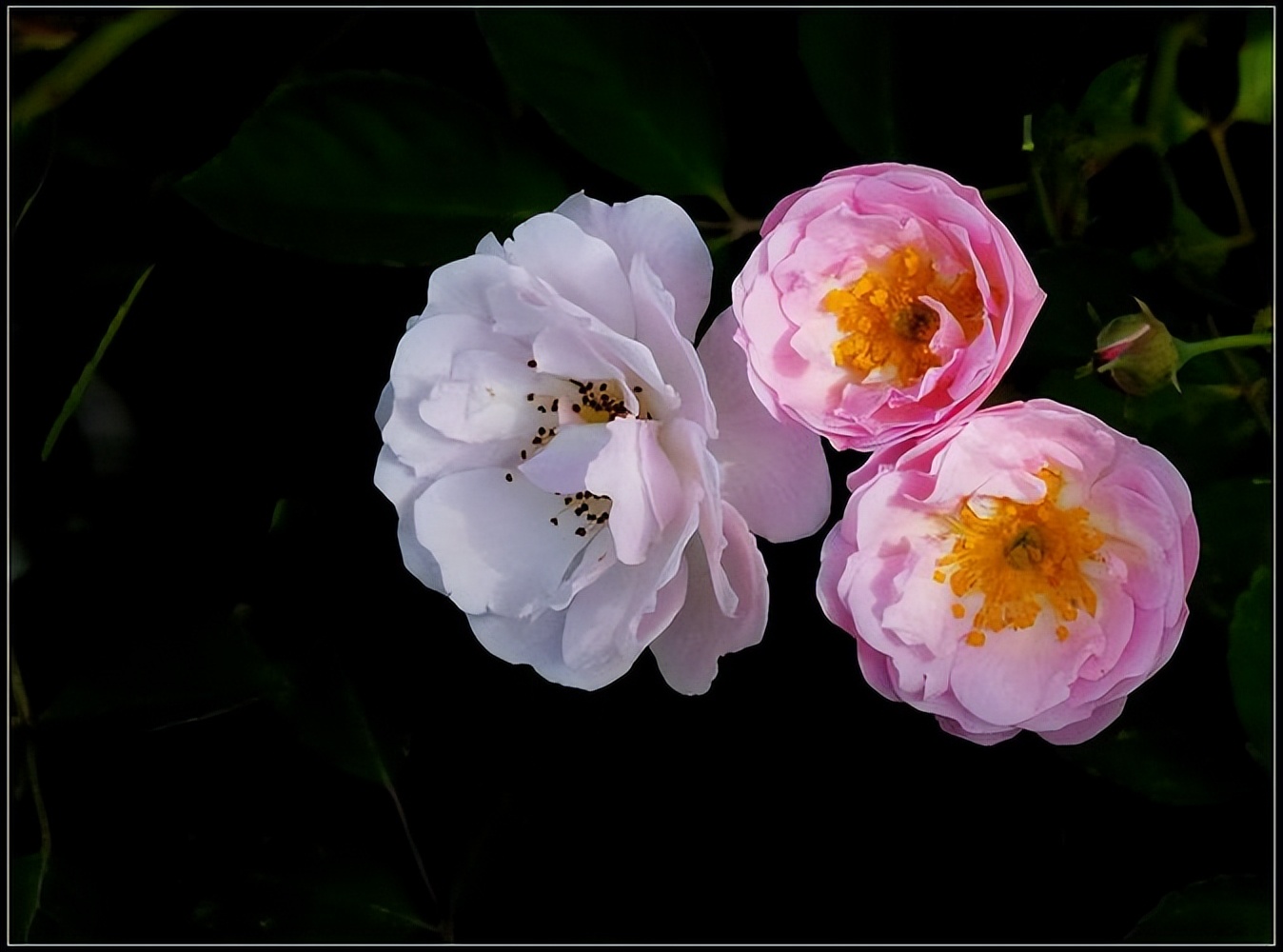 宠妻狂魔男孩的表现,天秤座男宠妻狂魔的表现