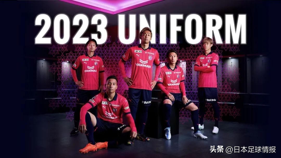 2024赛季日职联各队巡礼,今日日职联大阪樱花预测